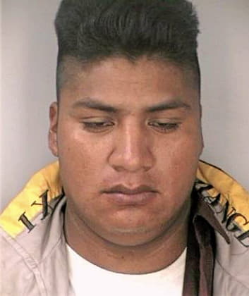 Mendez Diego - Hillsborough County, FL 