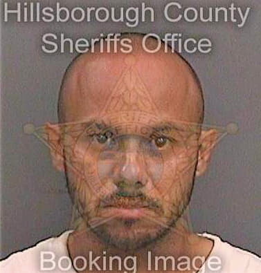 Mendez Jose - Hillsborough County, FL 