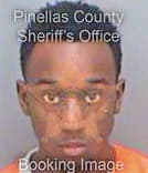 White Darius - Pinellas County, FL 