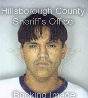 Barron Gabriel - Hillsborough County, FL 