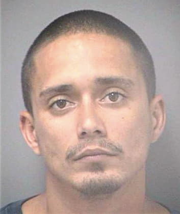 Gonzalez Frank - Hillsborough County, FL 