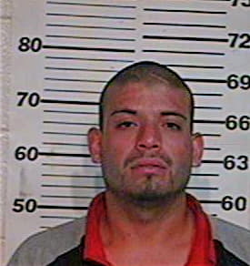 Hernandez Rolando - Hidalgo County, TX 