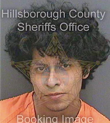 Martinez David - Hillsborough County, FL 