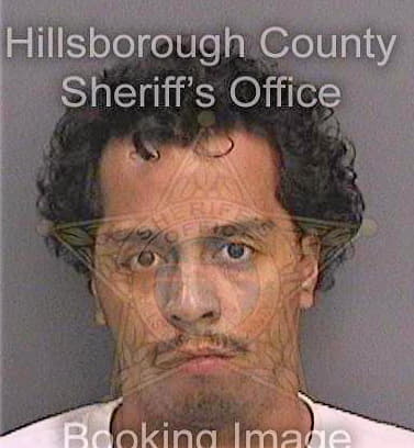 Gomez Luis - Hillsborough County, FL 