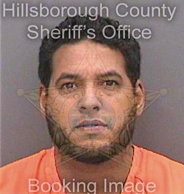 Cordero-Alvarez Ernesto - Hillsborough County, FL 