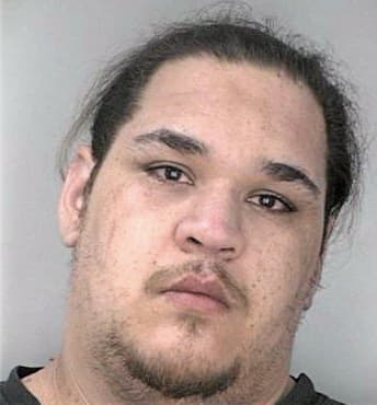 Lugo Neftali - Hillsborough County, FL 