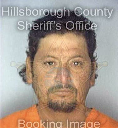 Ramirez Gerardo - Hillsborough County, FL 