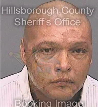 Torres Heriberto - Hillsborough County, FL 