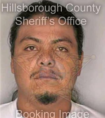 Chavezsegura Juan - Hillsborough County, FL 