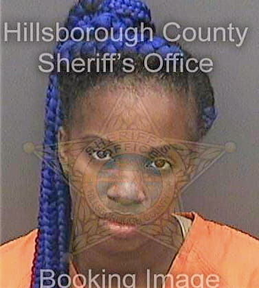 Dorsey Shereika - Hillsborough County, FL 