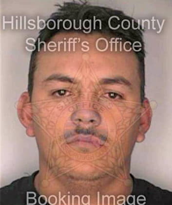 Martinez Erasmo - Hillsborough County, FL 