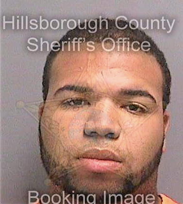 Mejia Luis - Hillsborough County, FL 