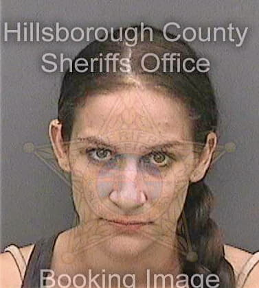 Mesa Ashley - Hillsborough County, FL 