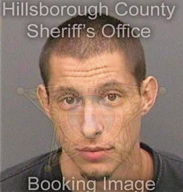 Mertley Brian - Hillsborough County, FL 