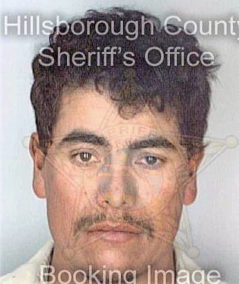 Deleonsalazar Martin - Hillsborough County, FL 