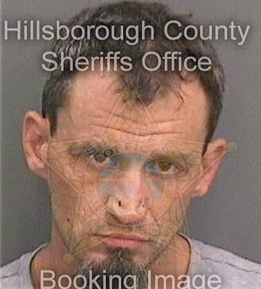 Bramlett Aaron - Hillsborough County, FL 