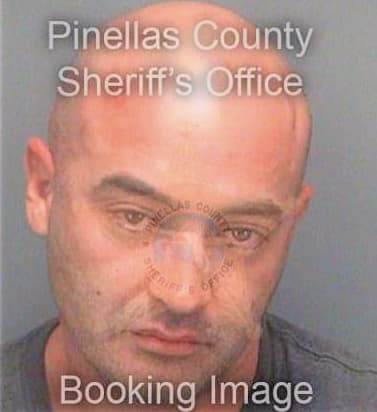 Condon Brian - Pinellas County, FL 