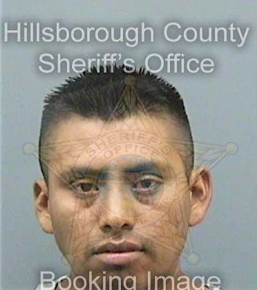 Martinezpredo Avelino - Hillsborough County, FL 