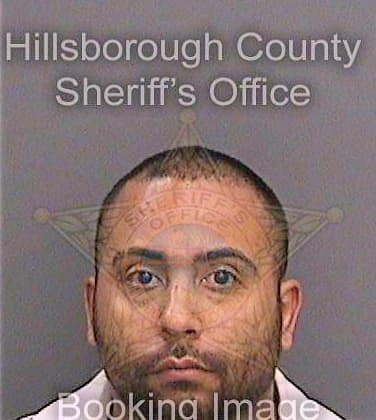 Santiago Ferdinand - Hillsborough County, FL 