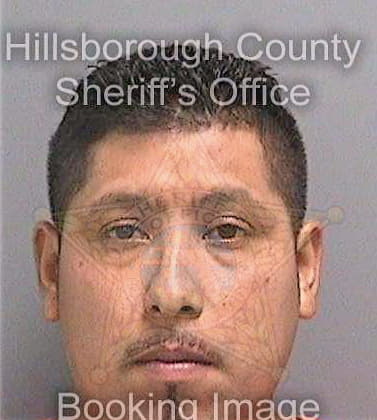 Martinez Manuel - Hillsborough County, FL 