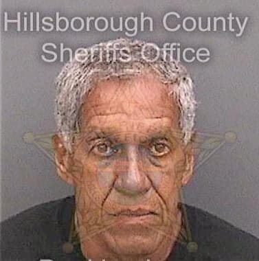 Vargas Luis - Hillsborough County, FL 