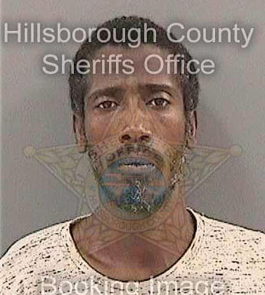 Lowe Paul - Hillsborough County, FL 