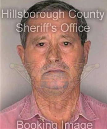 Glore Ramon - Hillsborough County, FL 