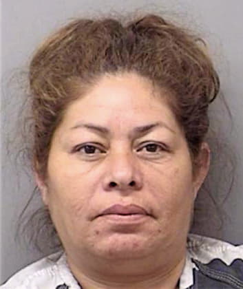 Delgado Francisca - Wise County, TX 