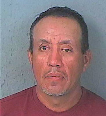 Hernandez-Martinez Jose - Hernando County, FL 