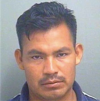 Hernandez Rony - PalmBeach County, FL 