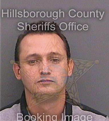 Gonzalezhernandez Hugo - Hillsborough County, FL 