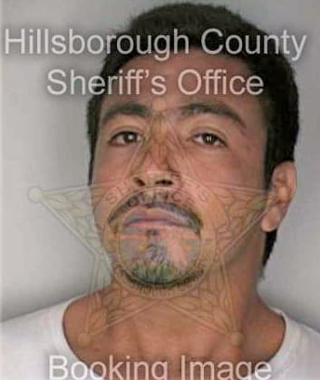 Hernandez Odon - Hillsborough County, FL 