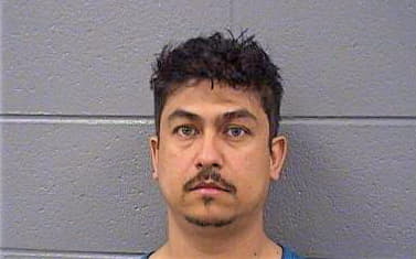 Gonzalez Guillermo - Cook County, IL 