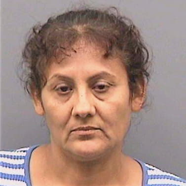 Chavezaguirre Olga - Hillsborough County, FL 