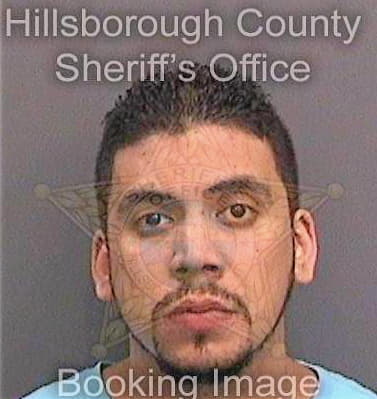 Jimenez Martin - Hillsborough County, FL 