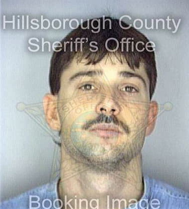 Mccorts Michael - Hillsborough County, FL 