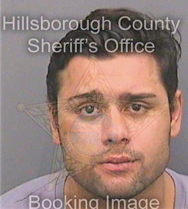 Godfrey Andrew - Hillsborough County, FL 