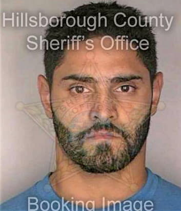 Negron Carlos - Hillsborough County, FL 