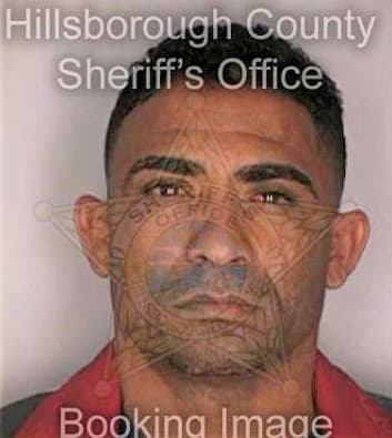 Fernandez Leonardo - Hillsborough County, FL 