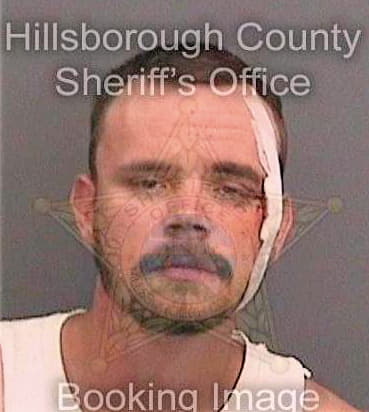 Landgren Randall - Hillsborough County, FL 