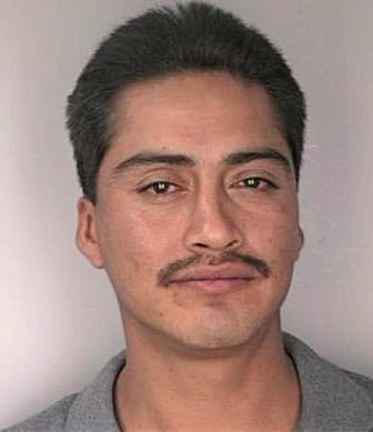 Mendoza Sergio - Hillsborough County, FL 