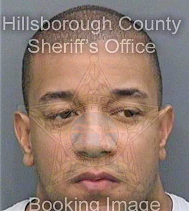 Bivins Nathaniel - Hillsborough County, FL 