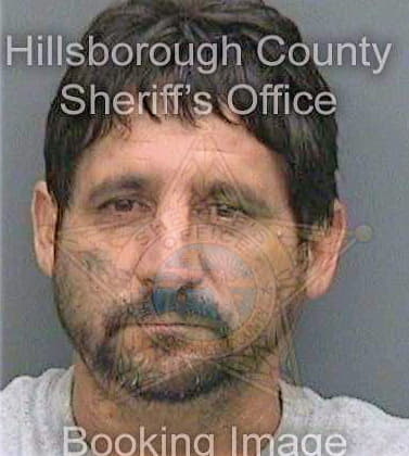 Trigo Jose - Hillsborough County, FL 