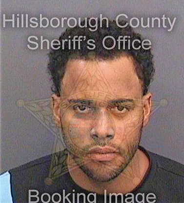 Diodonet Reinaldo - Hillsborough County, FL 