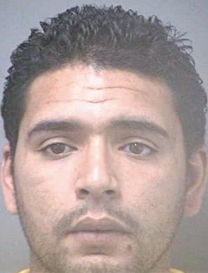 Gonzalez Fernando - Hillsborough County, FL 