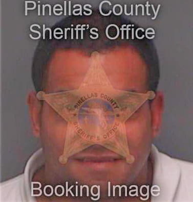 Velazquez Luis - Pinellas County, FL 