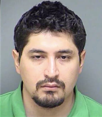 Rojas Manfred - Denton County, TX 