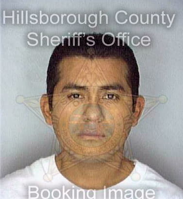 Dominquez Raul - Hillsborough County, FL 