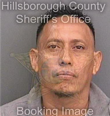 Garcia Carlos - Hillsborough County, FL 