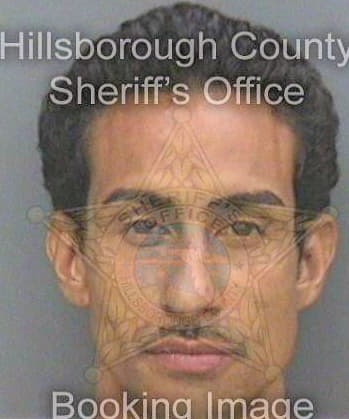 Vega Carlos - Hillsborough County, FL 